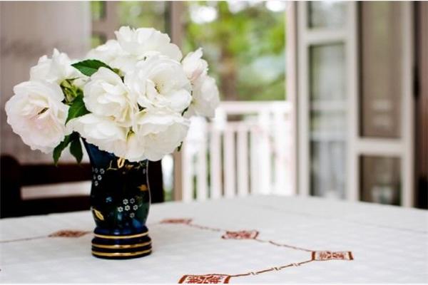 Apartment A1, for 2 persons