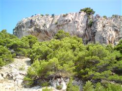 Nugal Gdinj - island Hvar Plaža