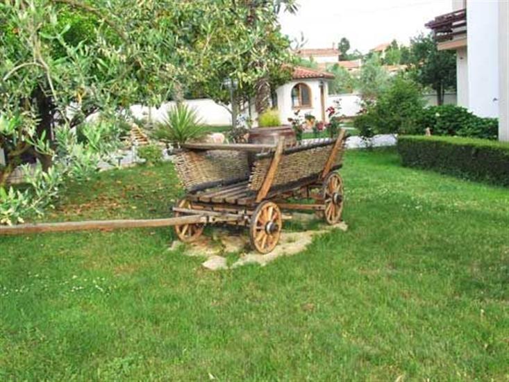 Apartments and Rooms Ana