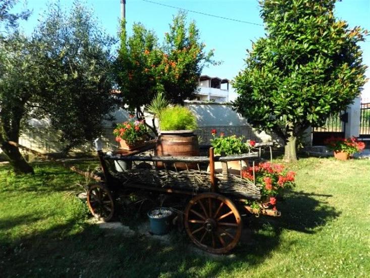 Apartments and Rooms Ana