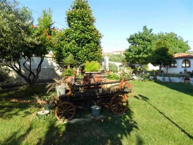 Apartments and Rooms Ana