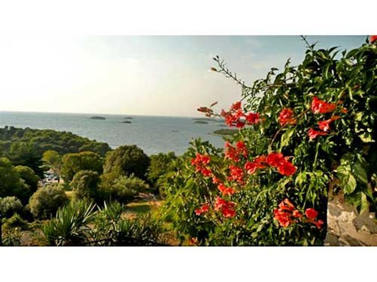 Apartments and Rooms Saša