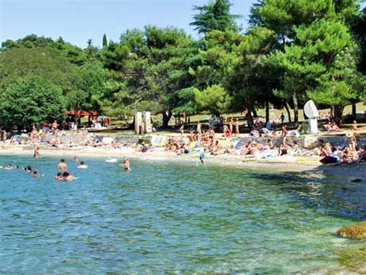 Apartments and Rooms Saša