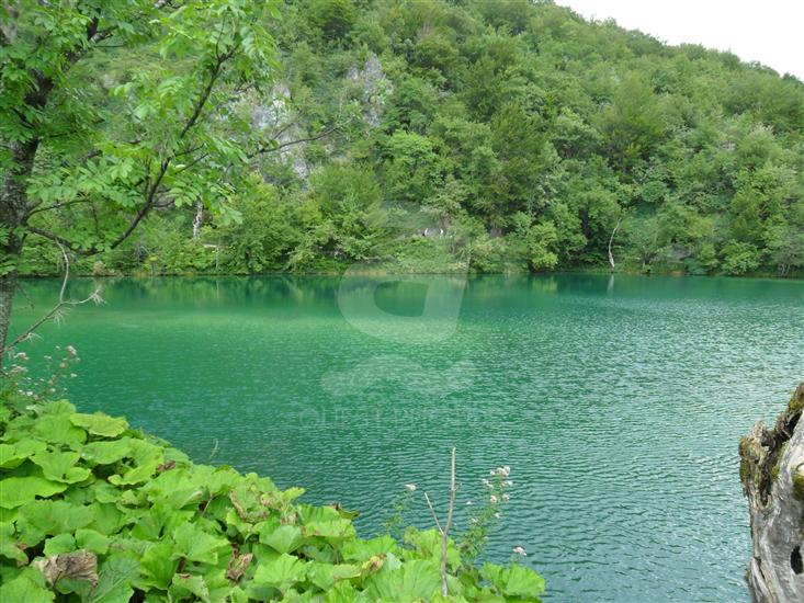 Okrug Gornji (Ciovo)