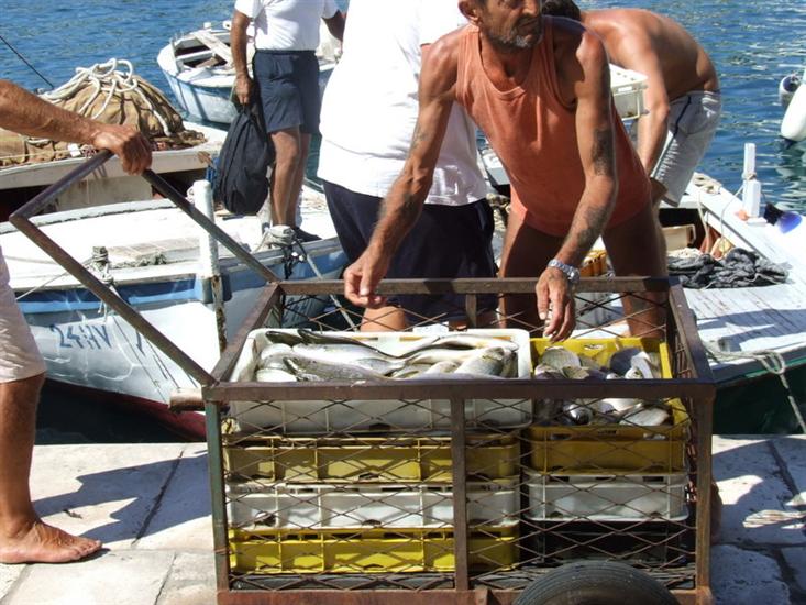 Middle Dalmatian islands