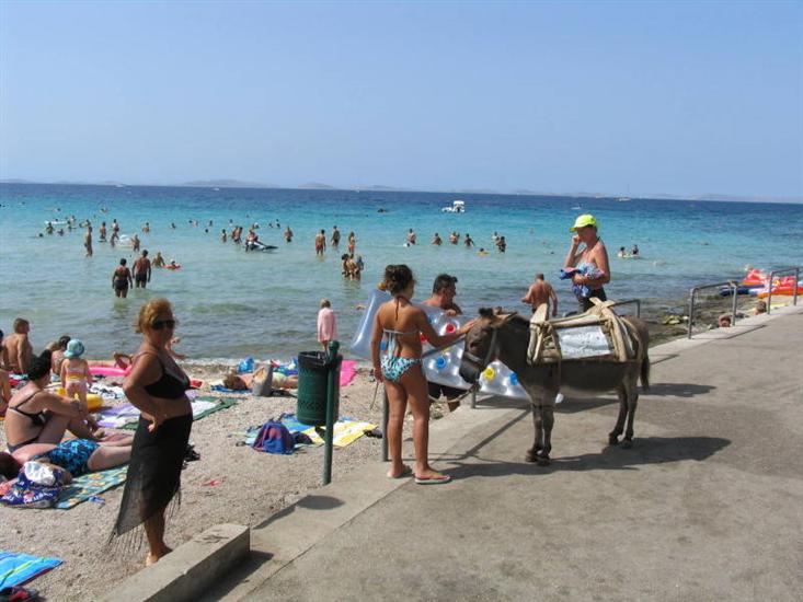 North Dalmatian islands