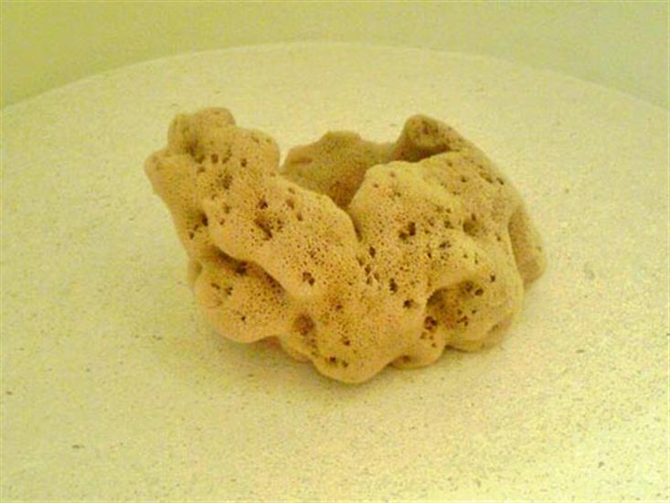 Krapanj - island Krapanj