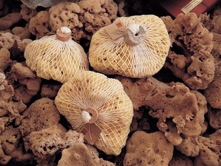 Krapanj - island Krapanj