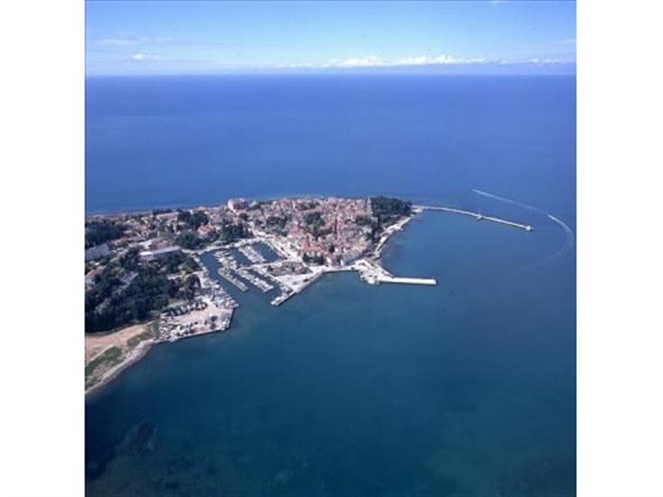 Novigrad