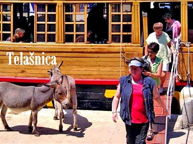 Sali (island of Dugi otok)