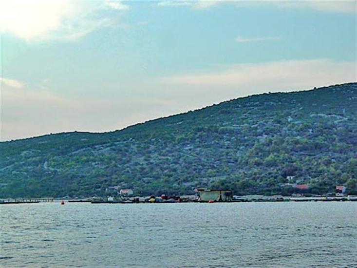 Zizanj - island Zizanj