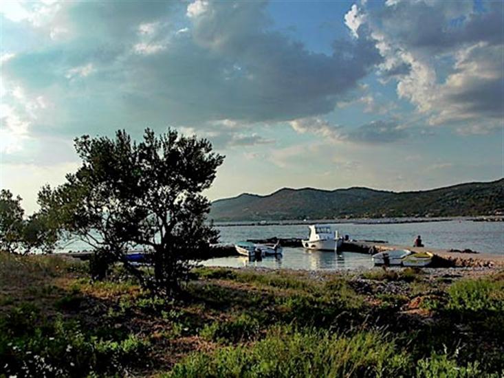 Zizanj - island Zizanj