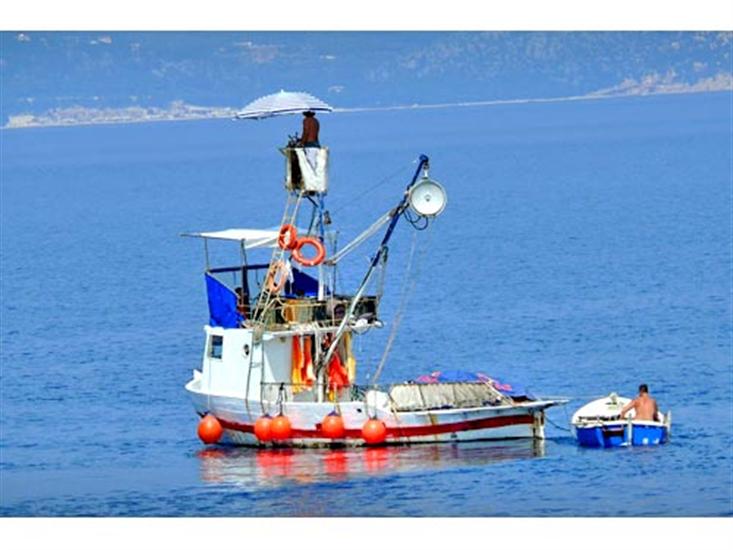 Sumartin - island Brac