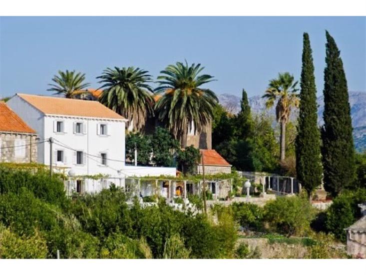 Kolocep - island Kolocep