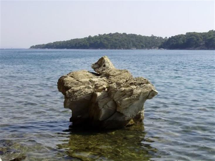 Palit - otok Rab