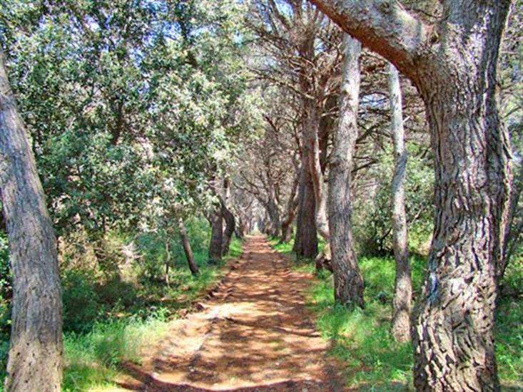 Veli Rat (Dugi otok)