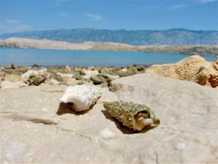 Vlasici - island Pag