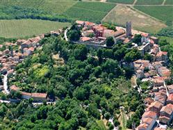 Motovun Film festival  Local celebrations / Festivities