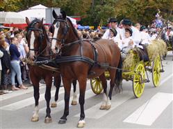 L'autunno di Vinkovci  Fiera del paese