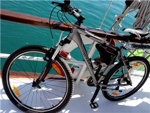 Bike-Dalmatian-cruise