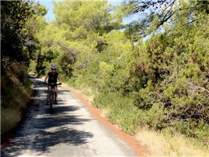 Bike-trail-cruise