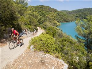 Mljet-bike-cruise-trail