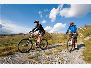 Bike-mountain-cruise