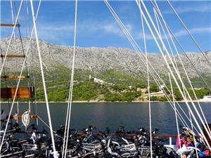 Bike-cruise-view-sea