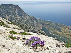 Planina Biokovo Komarna (Klek) 