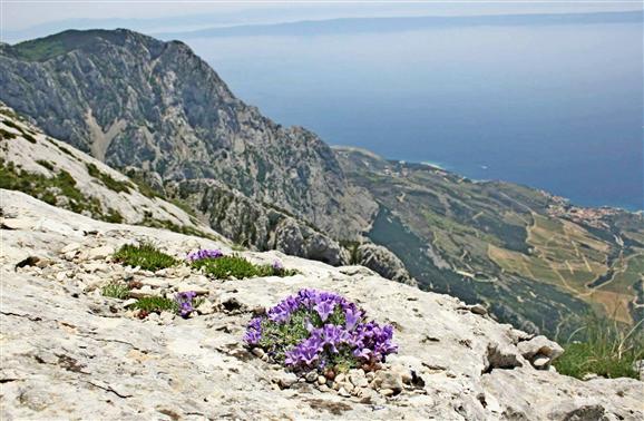 Planina Biokovo