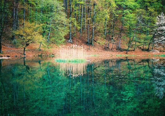 Papuk (Slavonian highlands)