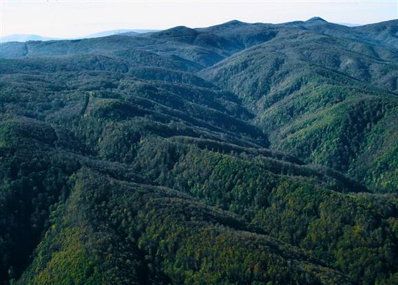 Papuk (Slavonian highlands)