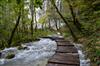 The Plitvice Lakes