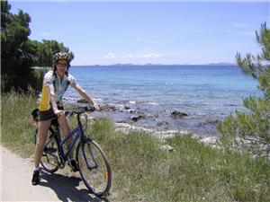 Bike-cruise-sea