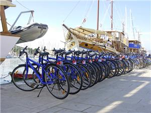 Cruise-port-bikes