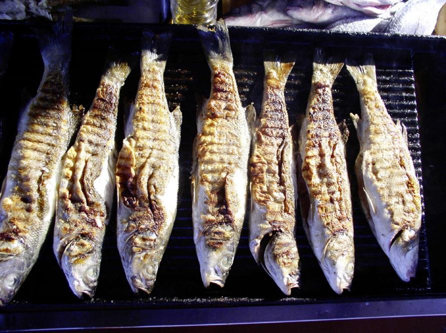 Gastro-fish-cruise-Adriatic