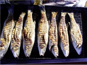 Gastro-fish-cruise-Adriatic