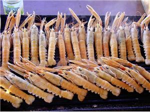 Shrimps-Croatia-cruise-food