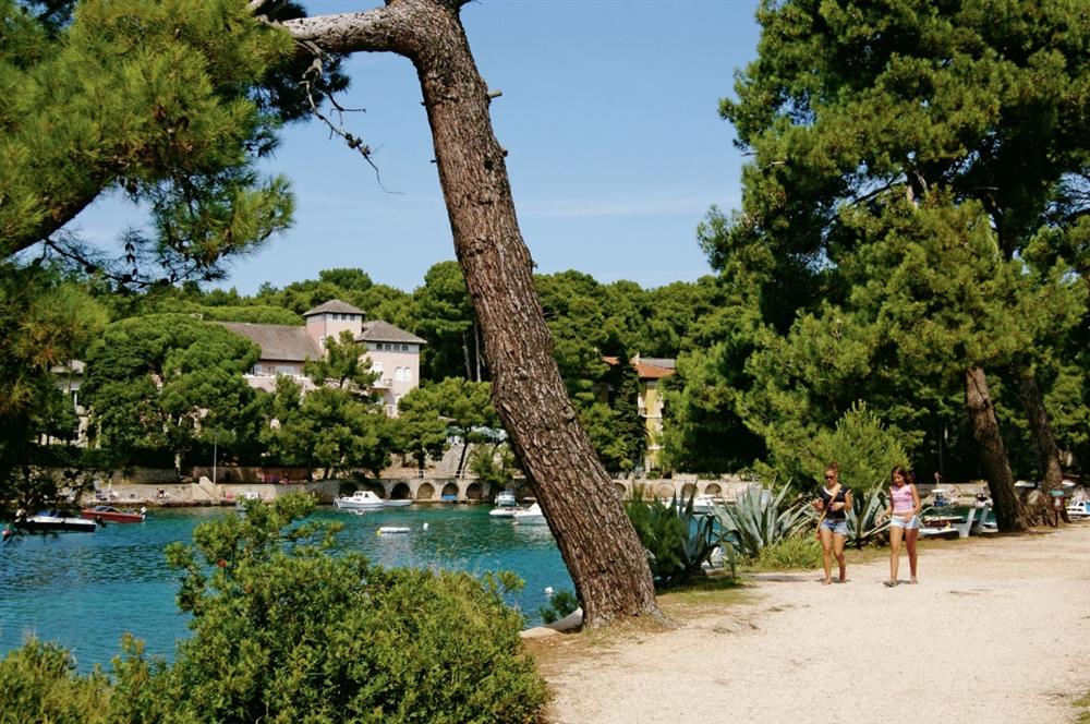 Losinj-island-Croatia