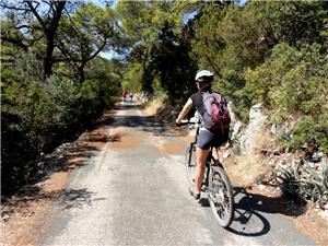 Bike-cruise-route