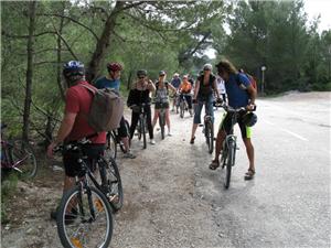 Bike-cruise-group