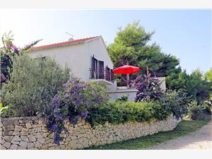 Apartment Middle Dalmatian islands,BookDvornikFrom 171 €