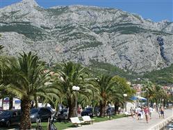 City museum Makarska Korcula - island Korcula Sights