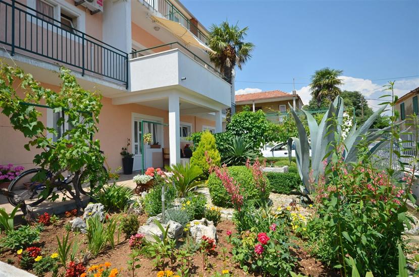 Apartments and Room Zinka