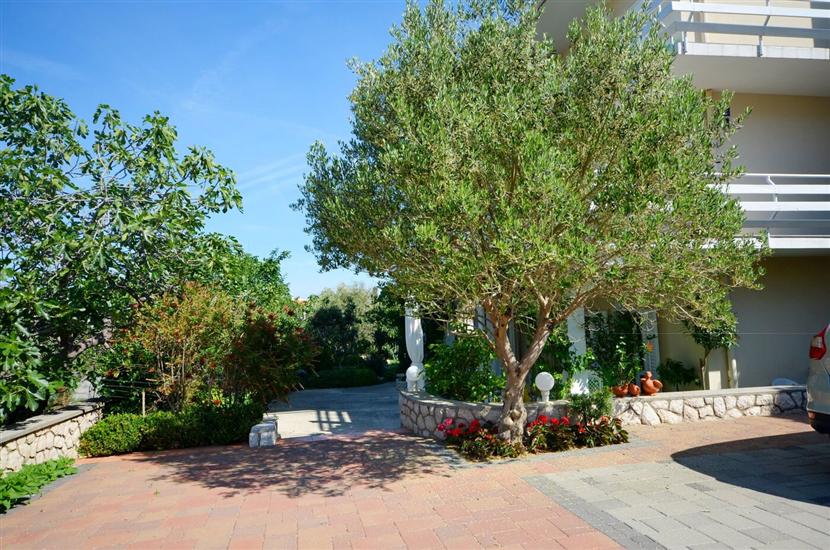 Apartments and Rooms Nada