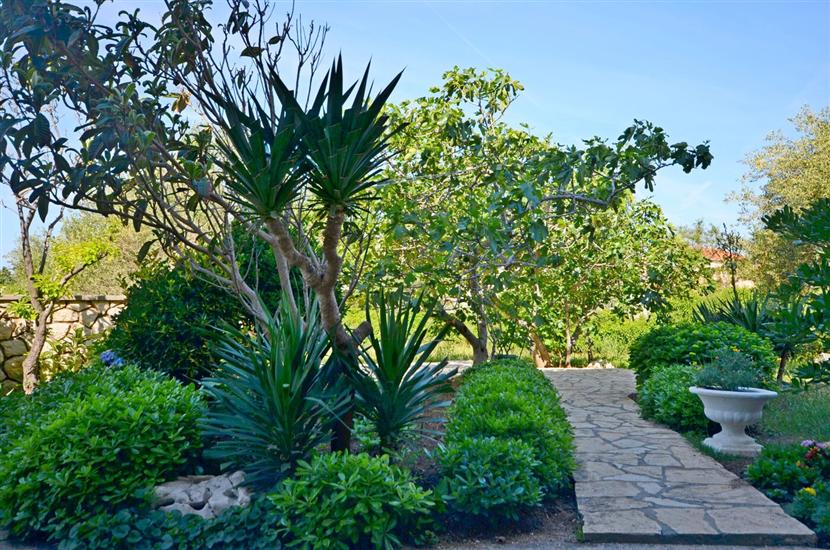 Apartments and Rooms Nada