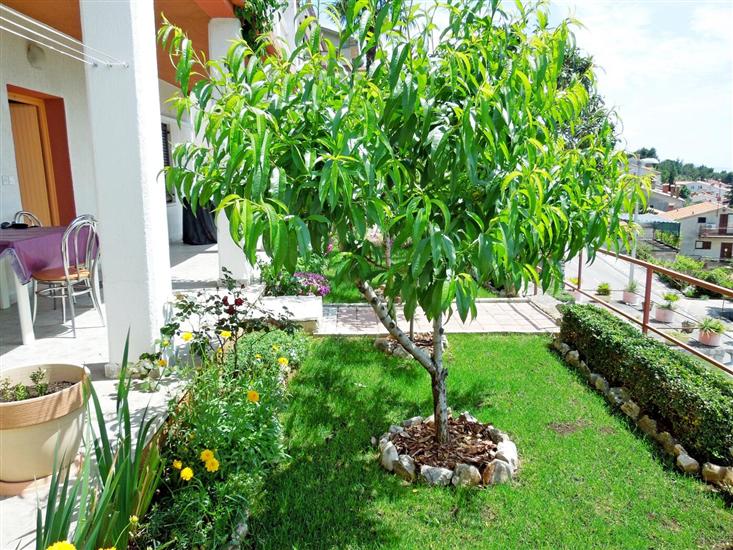 Apartment A3, for 4 persons