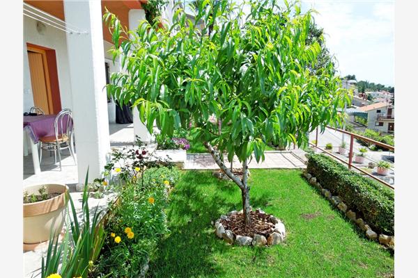 Apartment A3, for 4 persons