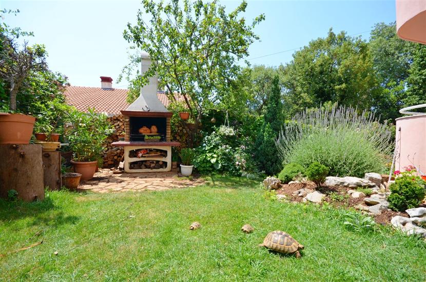 Apartments Snježana