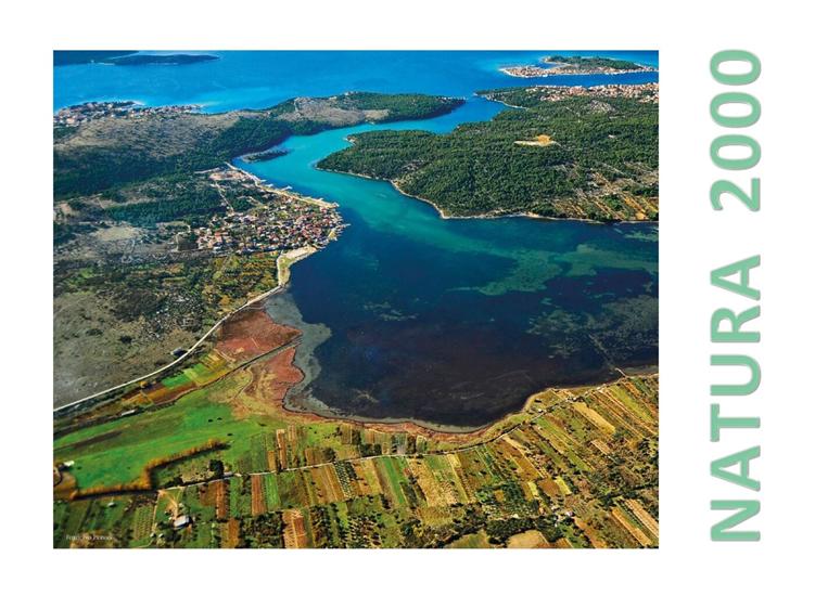 Apartments Vila Punta